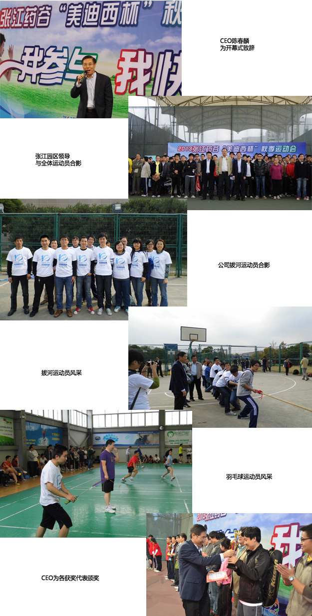 esball(中国区)官方网站