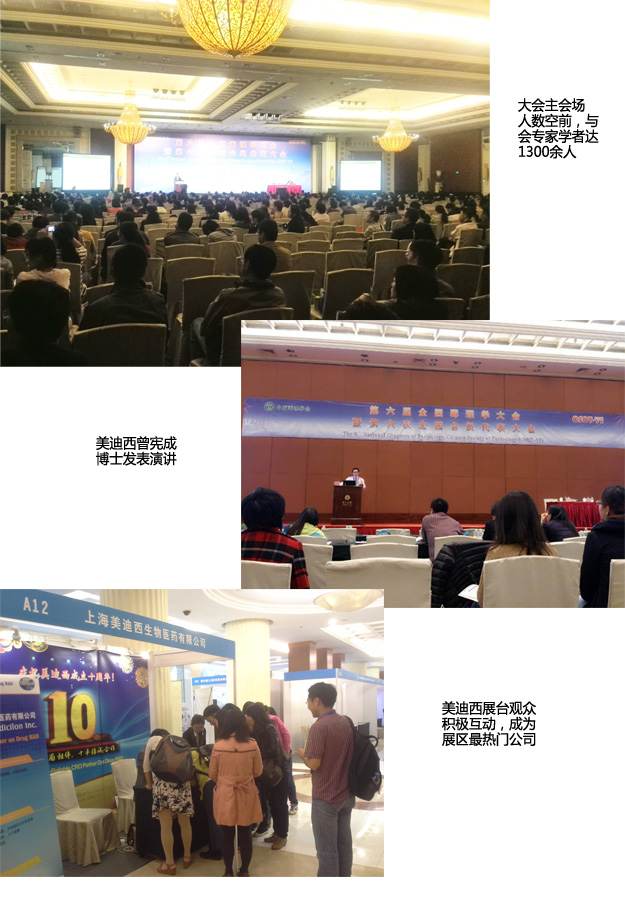 esball(中国区)官方网站