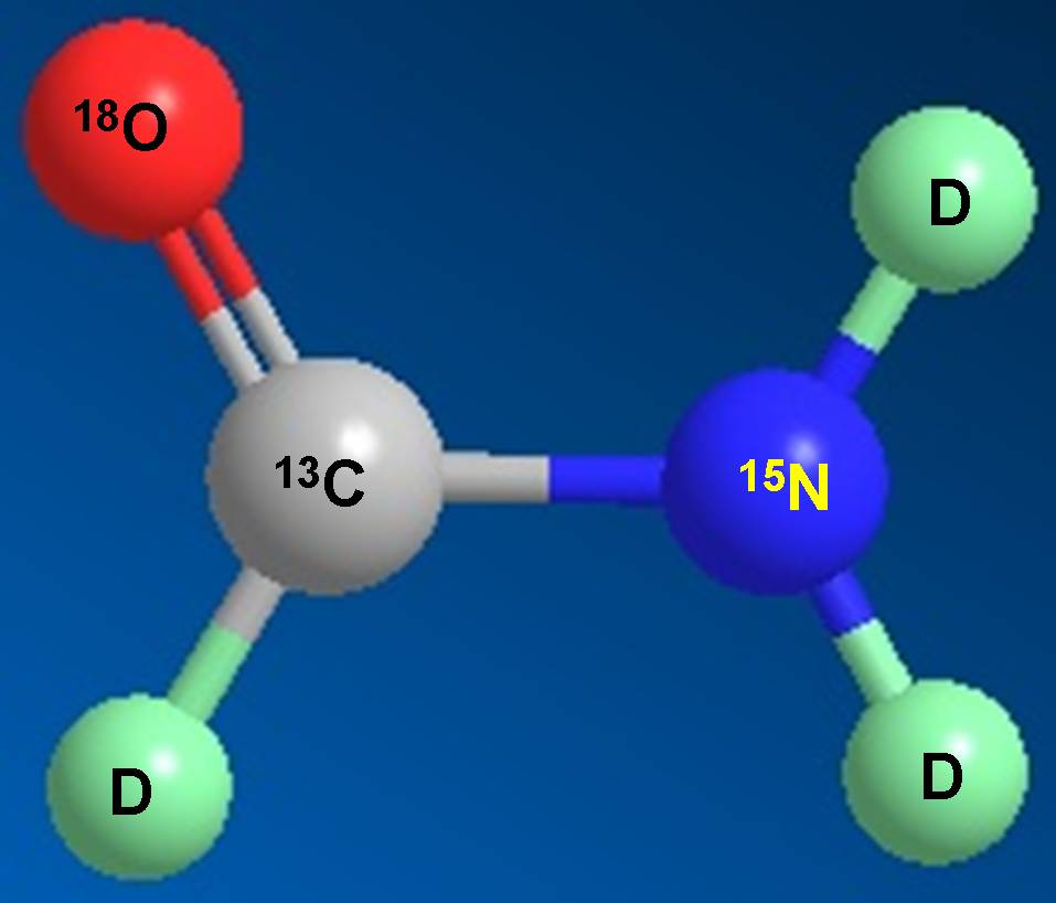 esball科研人员受邀担任同位素技术互换培训会讲师