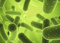 esball将参与2013年欧洲生物春季展会