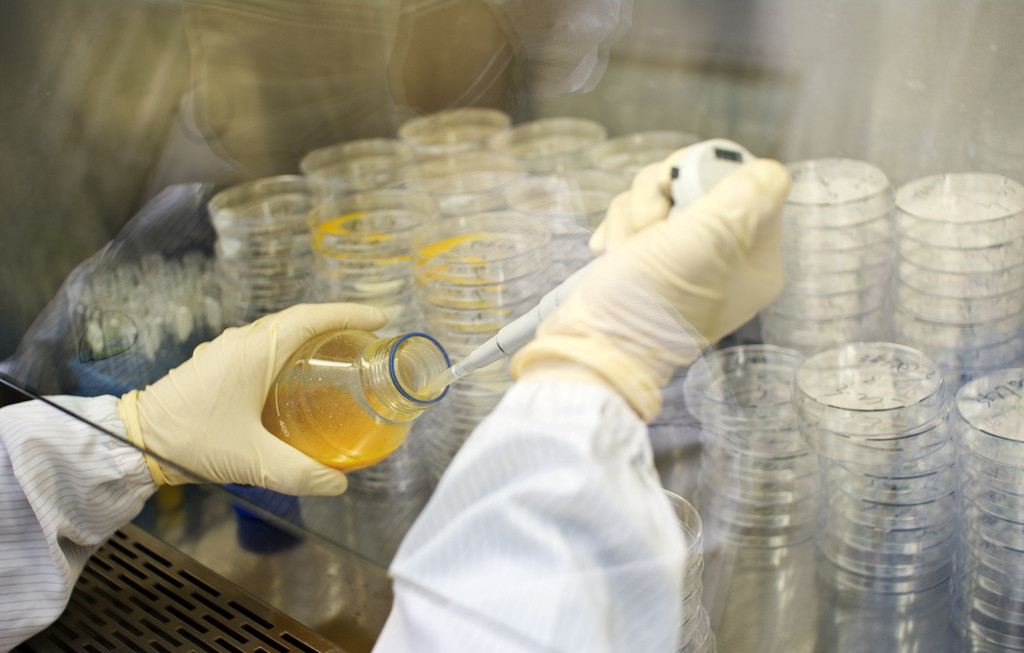 esball(中国区)官方网站