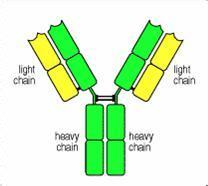 esball(中国区)官方网站
