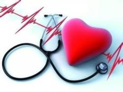 esball(中国区)官方网站