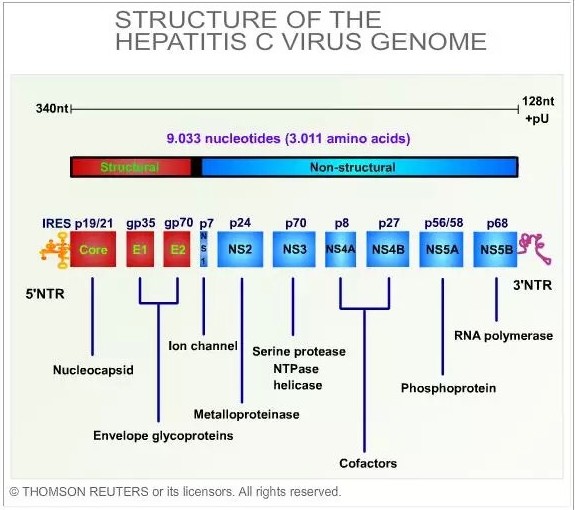 esball(中国区)官方网站