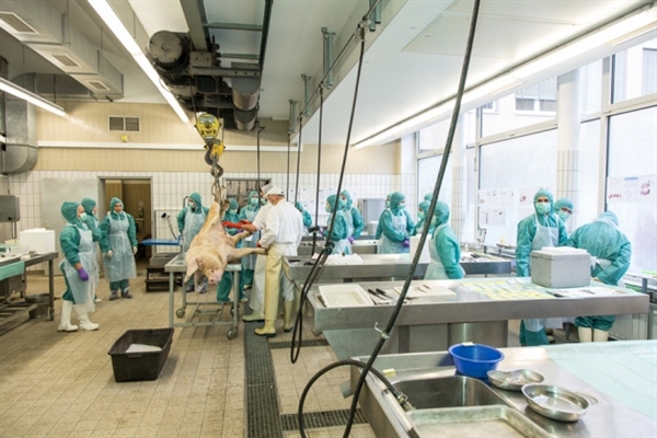 中国药企欧盟碰壁：质量问题还是尺度差距？