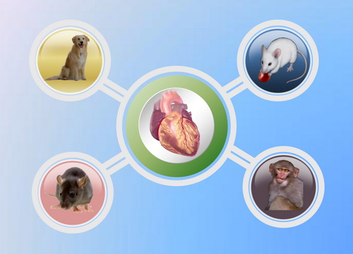 esball(中国区)官方网站