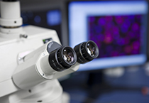 esball(中国区)官方网站