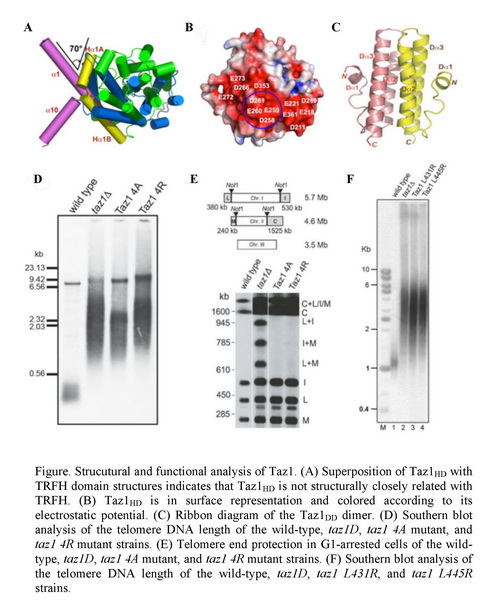 esball(中国区)官方网站