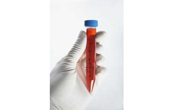 esball(中国区)官方网站