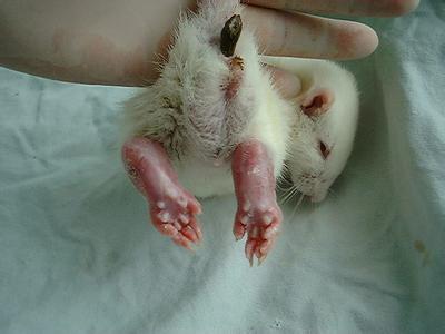 esball(中国区)官方网站