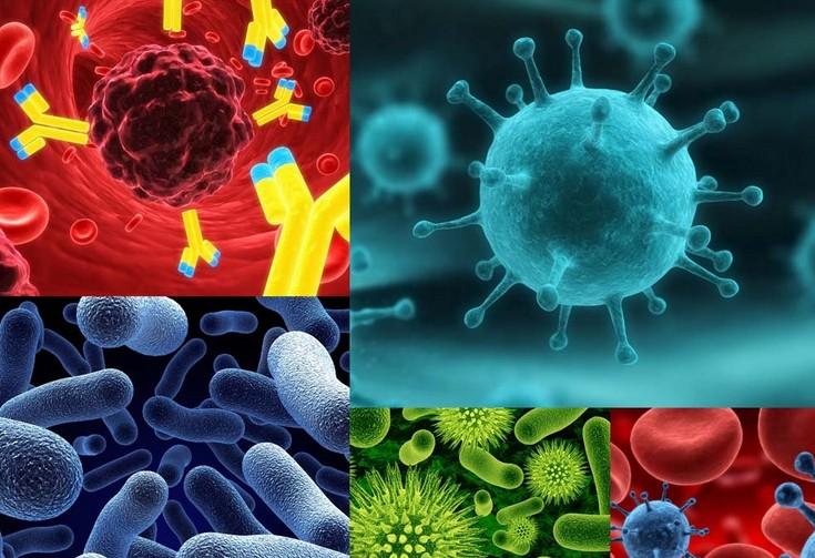 原位杂交技术的根基流程有哪些？