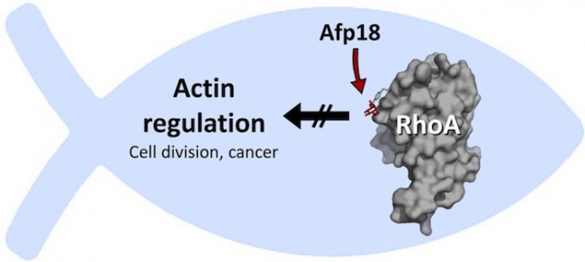esball(中国区)官方网站