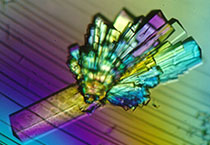 esball(中国区)官方网站