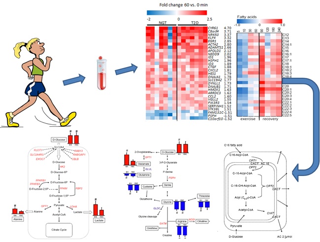 esball(中国区)官方网站