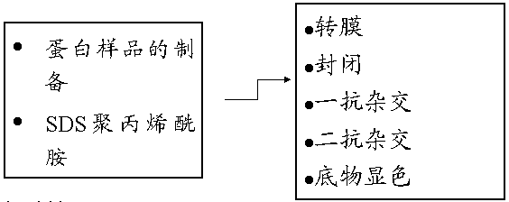 esball(中国区)官方网站