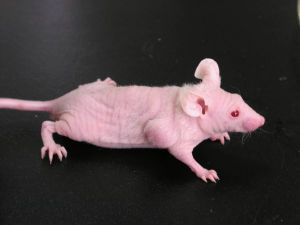 esball(中国区)官方网站