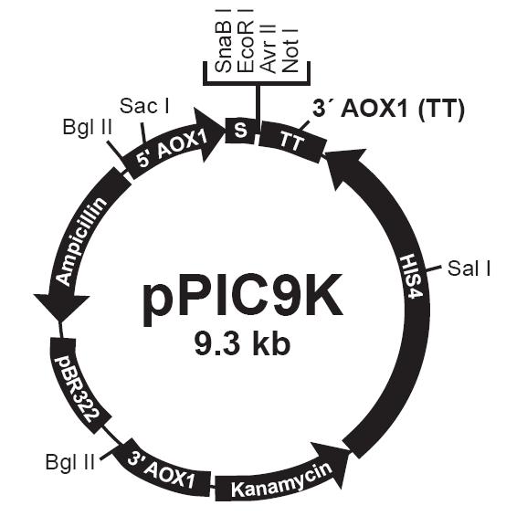 esball(中国区)官方网站