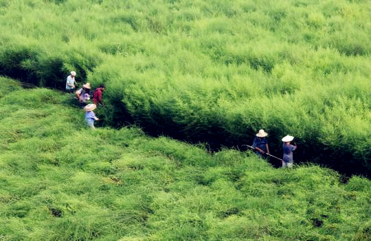 esball(中国区)官方网站