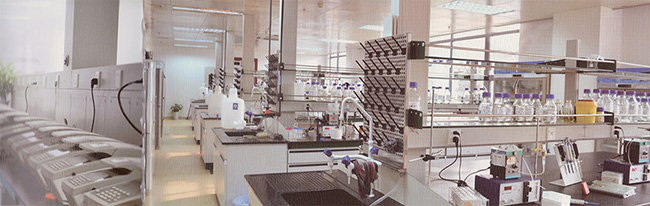 esball(中国区)官方网站