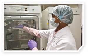 esball(中国区)官方网站