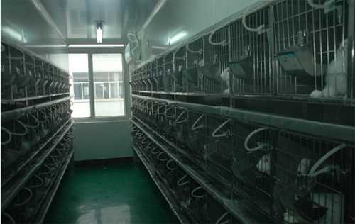 esball尝试动物房