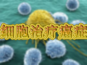 esball(中国区)官方网站