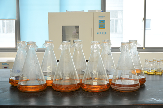 esball造剂中心GMP中试车间落成