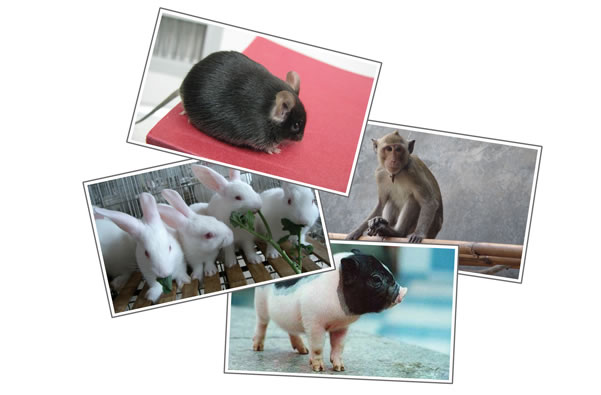 esball(中国区)官方网站