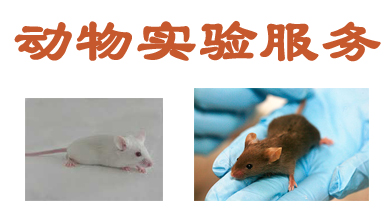 esball动物尝试表包服务