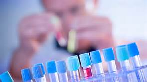 esball(中国区)官方网站