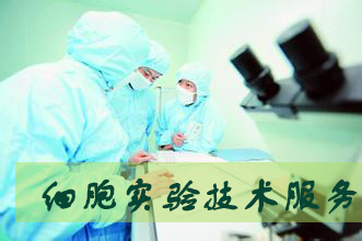 esball细胞尝试服务表包