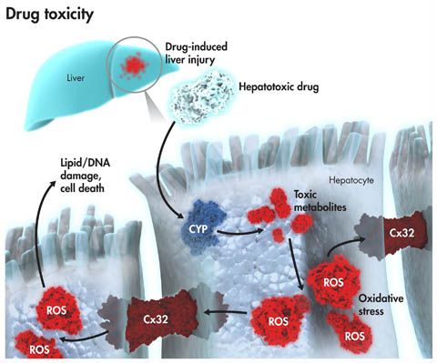 esball(中国区)官方网站