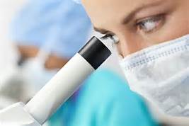 esball(中国区)官方网站