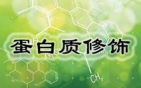 esball(中国区)官方网站