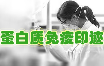 蛋白质免疫印迹尝试