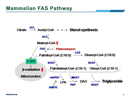 esball(中国区)官方网站