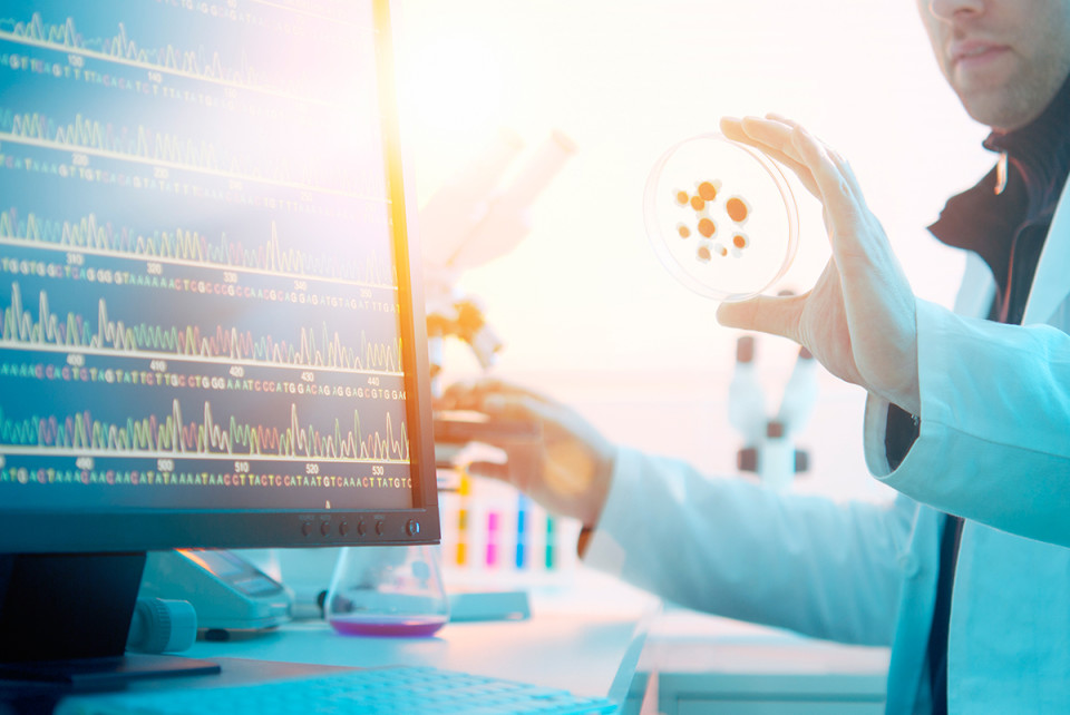 PD-1/IDO组合注册试验起头，首个幼分子IO药物进入三期临床