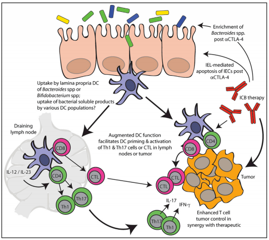 esball(中国区)官方网站