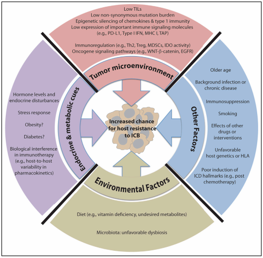 esball(中国区)官方网站