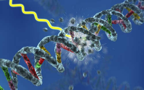 esball(中国区)官方网站