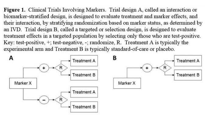 esball(中国区)官方网站