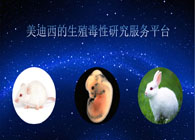 esball的生殖毒性钻研服务平台