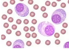 esball(中国区)官方网站