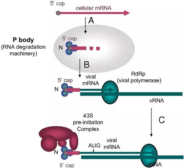 esball(中国区)官方网站