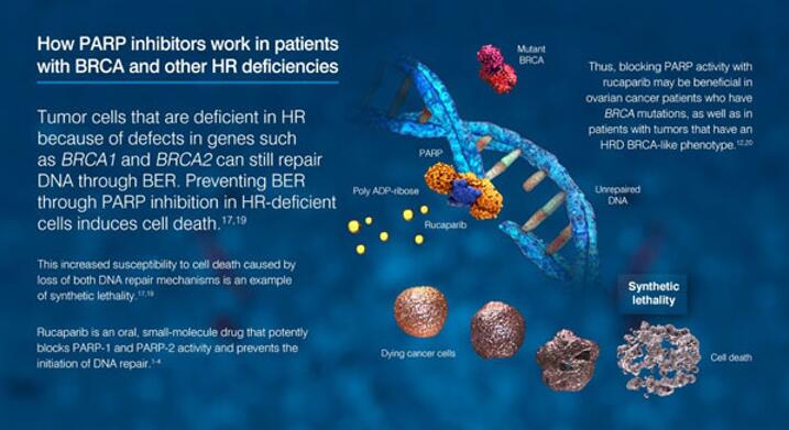 esball(中国区)官方网站