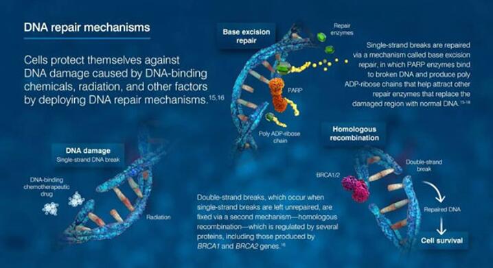 esball(中国区)官方网站