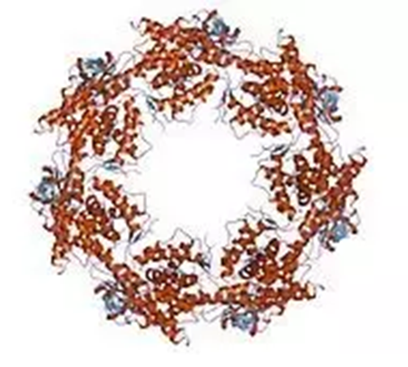 esball(中国区)官方网站