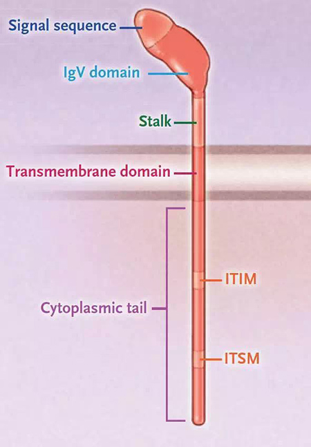 esball(中国区)官方网站