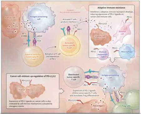 esball(中国区)官方网站