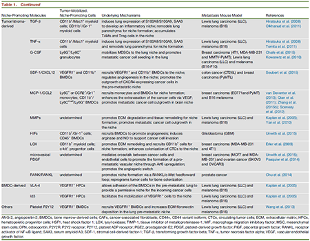 esball(中国区)官方网站